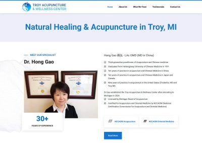 Troy Acupuncture website design